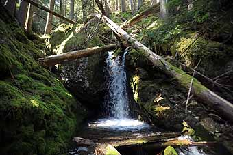 Rainier NP Cascade